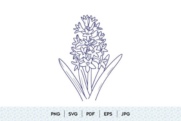 Hyacinth Flower SVG Illustration Guide